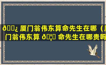 🌿 厦门翁伟东算命先生在哪（厦门翁伟东算 🦁 命先生在哪贵吗）